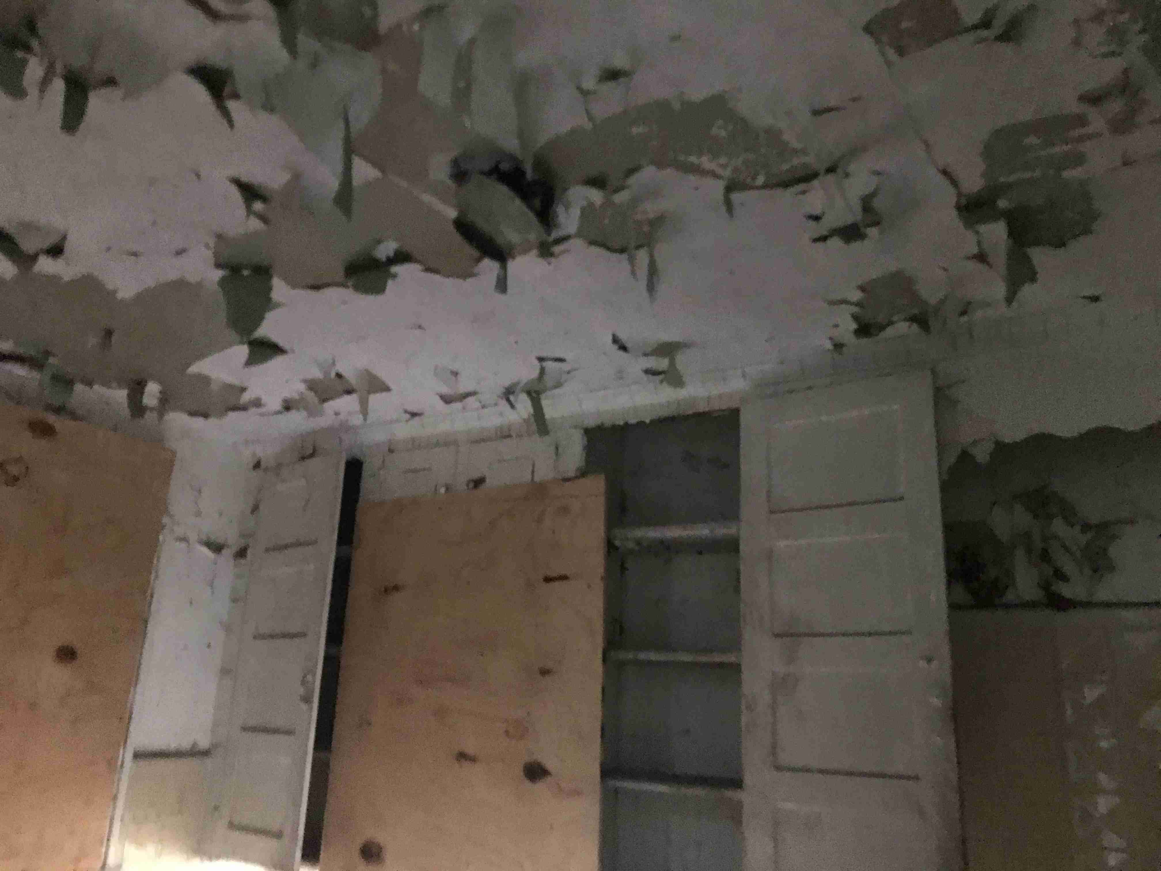 Photo Sep 09, 4 25 12 PM.jpg